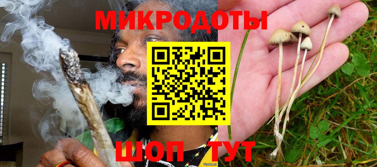 Джанкой  Галлюциногенные грибы Psilocybe  Вход с VPN 